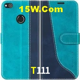 Recursos de Bônus T111